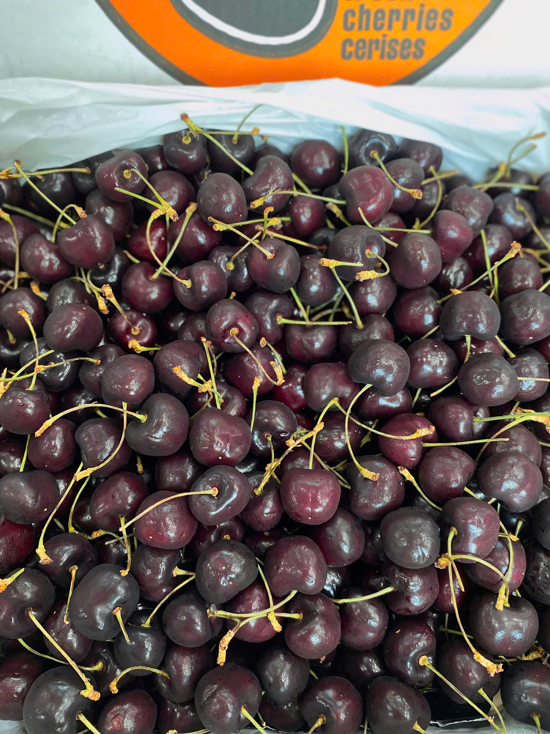 Cherry Canada