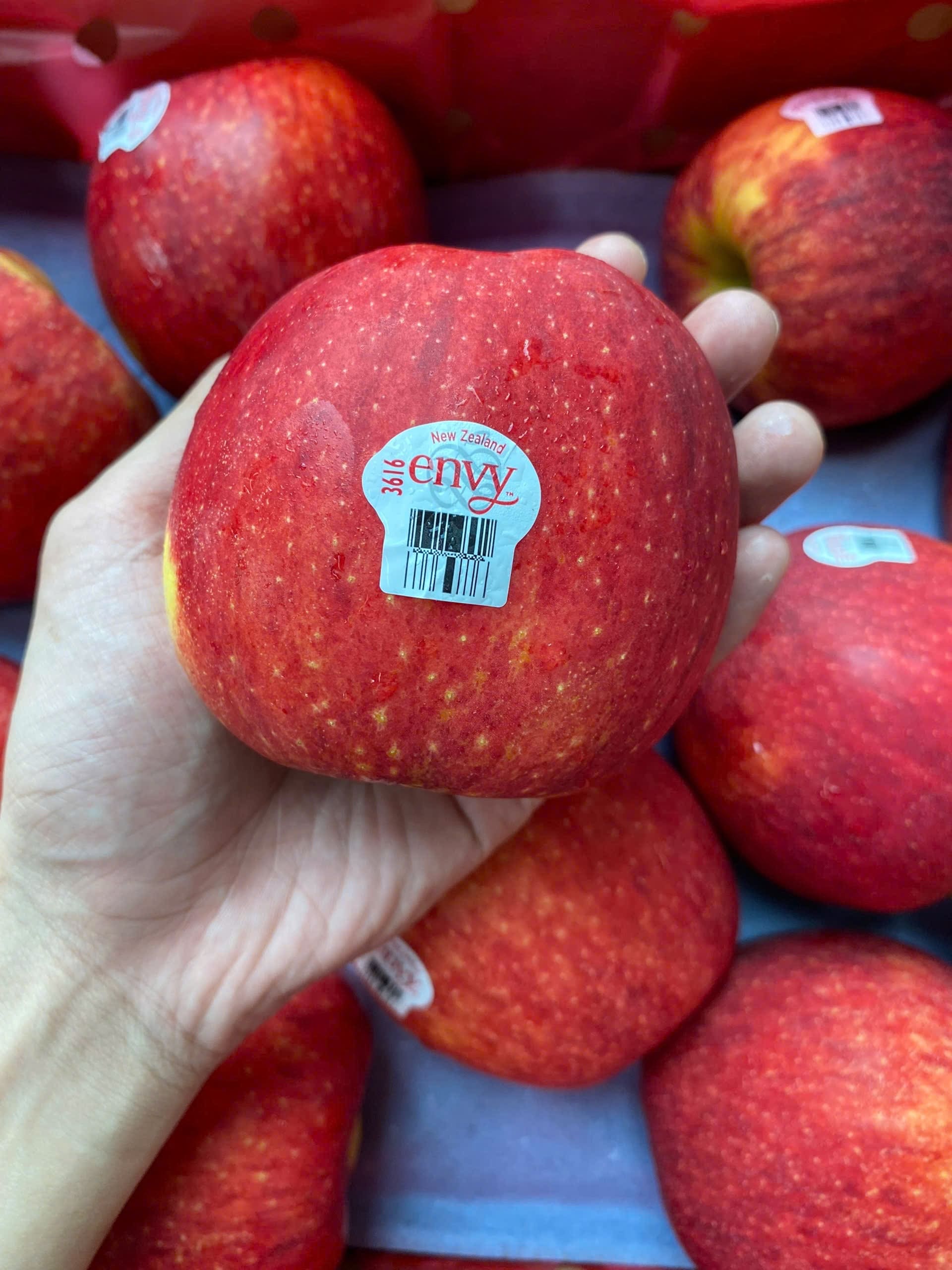 Táo Envy size LỚN