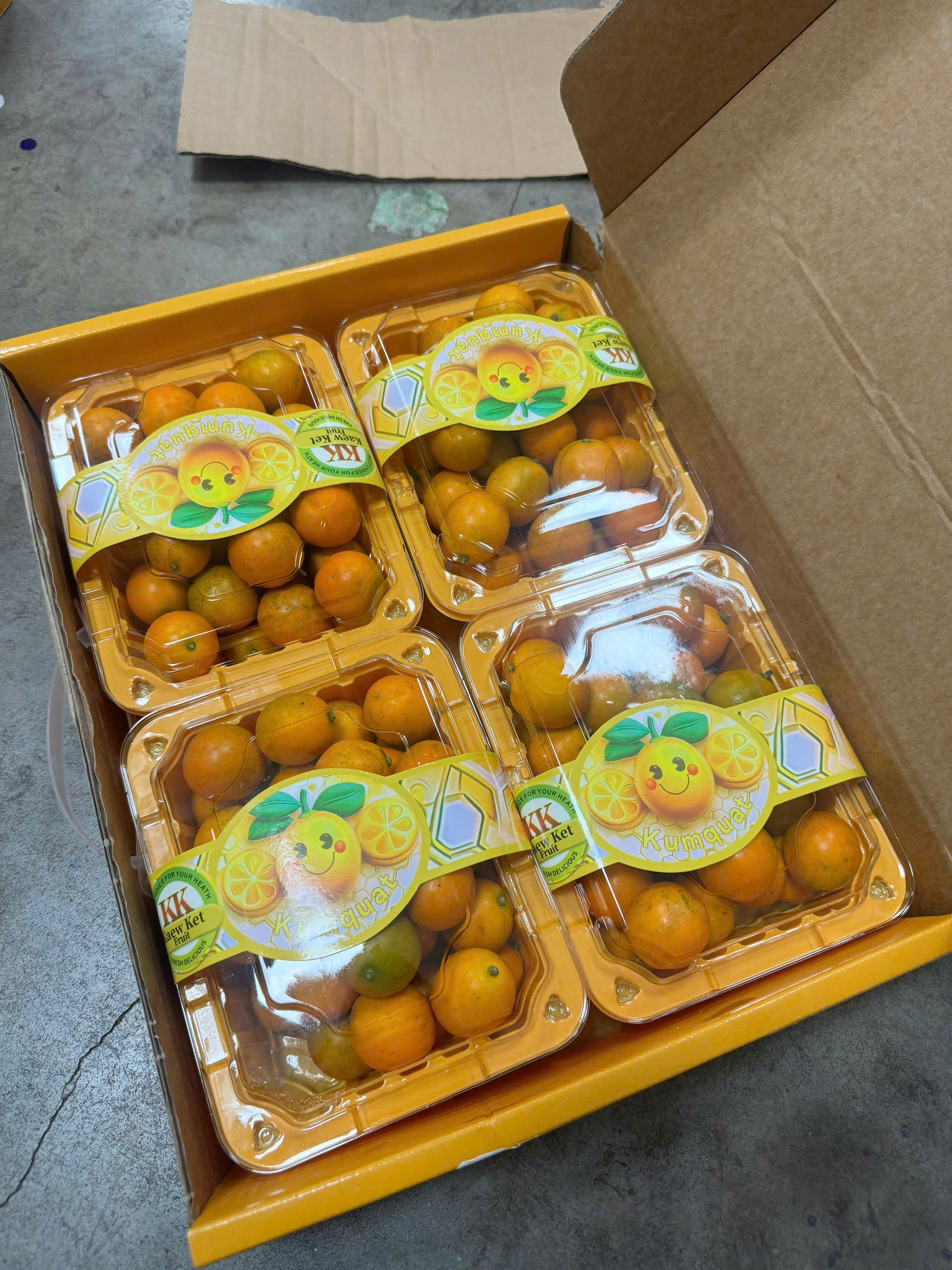 Kim Quốc (Tắc Đài)